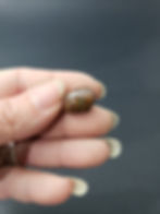 Koroit Boulder Opal Cab