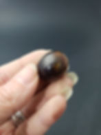 Polished Amber Cabochon